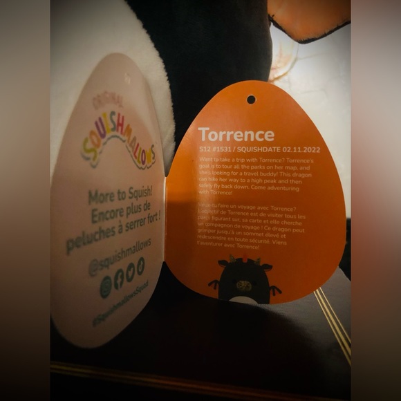 π₯ Torrence 12ββ π₯ the Dragon - Picture 3 of 4